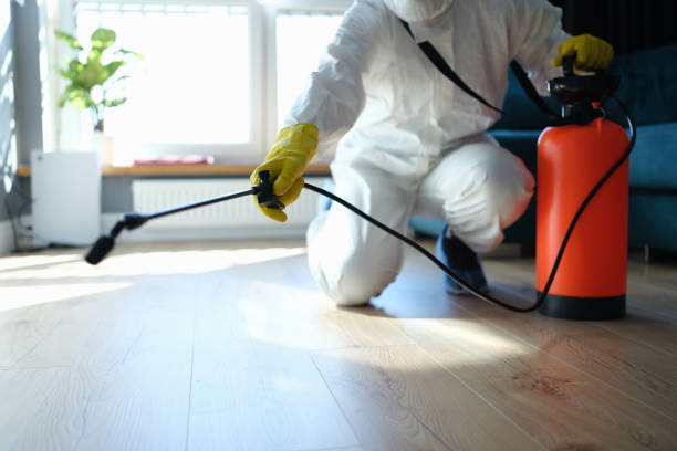 Reliable Infectious Disease Decontamination contractor in Linden, AZ by Crime Scene Cleaner Online